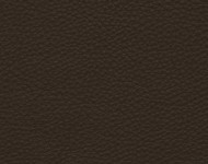 Тканини Barbaresco 60 Спец. тканини Однотонні бежеві-коричневі Шкіра Преміум 3816