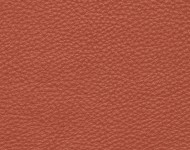 Тканини Barbaresco 26 Спец. тканини Однотонні червоні Шкіра Преміум 3782