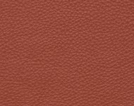 Тканини Barbaresco 38 Спец. тканини Однотонні червоні Шкіра Преміум 3794