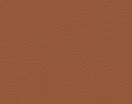 Тканини Barbaresco 52 Спец. тканини Однотонні бежеві-коричневі Шкіра Преміум 3808