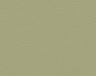 Тканини Barbaresco 66 Спец. тканини Однотонні зелені Шкіра Преміум 3822
