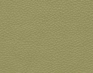 Тканини Barbaresco 67 Спец. тканини Однотонні зелені Шкіра Преміум 3823