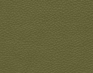 Тканини Barbaresco 68 Спец. тканини Однотонні зелені Шкіра Преміум 3824