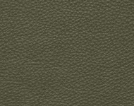Тканини Barbaresco 69 Спец. тканини Однотонні зелені Шкіра Преміум 3825