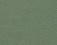 Тканини Barbaresco 72 Спец. тканини Однотонні зелені Шкіра Преміум 3828