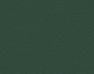 Тканини Barbaresco 77 Спец. тканини Однотонні зелені Шкіра Преміум 3833