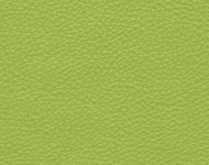 Тканини Barbaresco 64 Спец. тканини Однотонні зелені Шкіра Преміум 3820