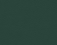 Тканини Barbaresco 76 Спец. тканини Однотонні зелені Шкіра Преміум 3832