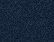 Тканини Barbaresco 84 Спец. тканини Однотонні сині Шкіра Преміум 3840