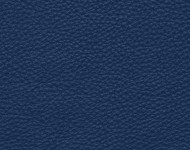 Тканини Barbaresco 91 Спец. тканини Однотонні сині Шкіра Преміум 3847