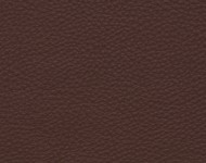 Тканини Barbaresco 49 Спец. тканини Однотонні бежеві-коричневі Шкіра Преміум 3805