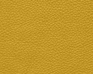 Тканини Barbaresco 32 Спец. тканини Однотонні жовті Шкіра Преміум 3788