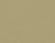 Тканини Barbaresco 9 Спец. тканини Однотонні бежеві-коричневі Шкіра Преміум 3765