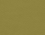 Тканини Barbaresco 65 Спец. тканини Однотонні зелені Шкіра Преміум 3821
