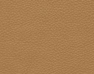 Тканини Barbaresco 14 Спец. тканини Однотонні бежеві-коричневі Шкіра Преміум 3770