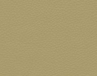 Тканини Barbaresco 10 Спец. тканини Однотонні бежеві-коричневі Шкіра Преміум 3766