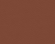 Тканини Barbaresco 55 Спец. тканини Однотонні бежеві-коричневі Шкіра Преміум 3811