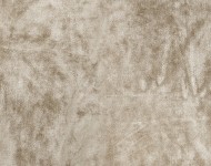 Ткани Senib 25 Cовременное Однотонные бежевые-коричневые Велюр Средняя 19133