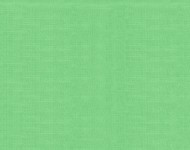 Ткани York Emerald-019 Классика Однотонные зеленые Велюр Средняя 23542