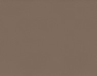 Ткани Samoa S369 Terra Cовременное!Спец. ткани Однотонные бежевые-коричневые Специальные  18733