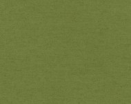 Ткани Wool Woodbine-27 Cовременное Однотонные зеленые Натуральные!Шерсть  24118