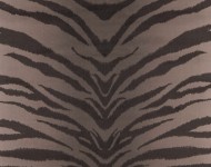 Тканини TOGO Nutmeg-17  Сучасне Тематичні бежеві-коричневі Велюр  27635