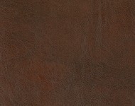 Тканини MATRIX FR Brown-46 Спец. тканини Однотонні бежеві-коричневі Шкірзамінник  A004423