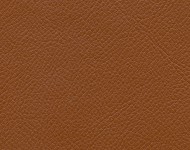 Тканини AKROPOL Ginger 608 Спец. тканини Однотонні бежеві-коричневі Шкірзамінник  A004435