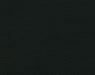  AKROPOL Black 705 Спец. тканини Однотонні чорно-білі Шкірзамінник  A004435