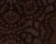 Тканини Cygnus Brownie - 20      5659